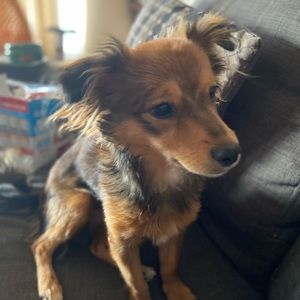 Meet your Posher, Evelyn